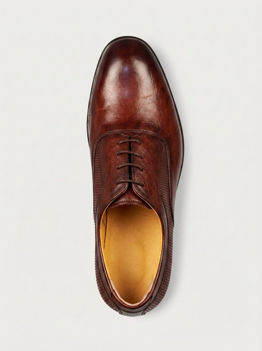 MILANO Oxford Semi-Brogue - Bordeaux