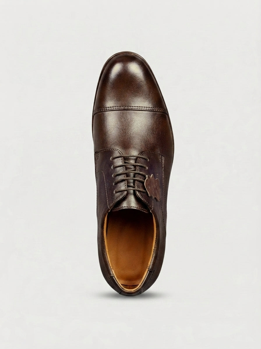 LUCCA Derby Cap Toe - Dark Coffe