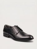 SIENA Derby Clasic - Imperial Black